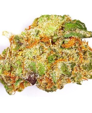 Girl-Scout-Cookies