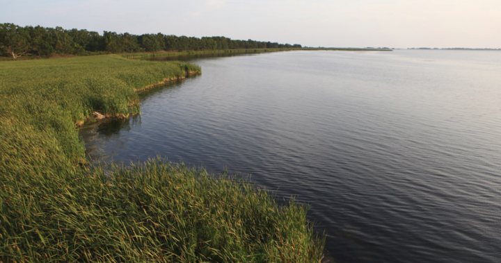 rondeau-provincial-park-ontario-parks-via-flickr